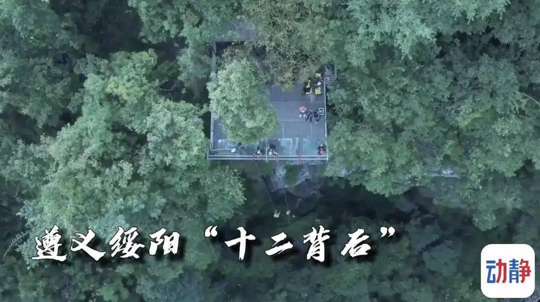 精灵的冒险之旅